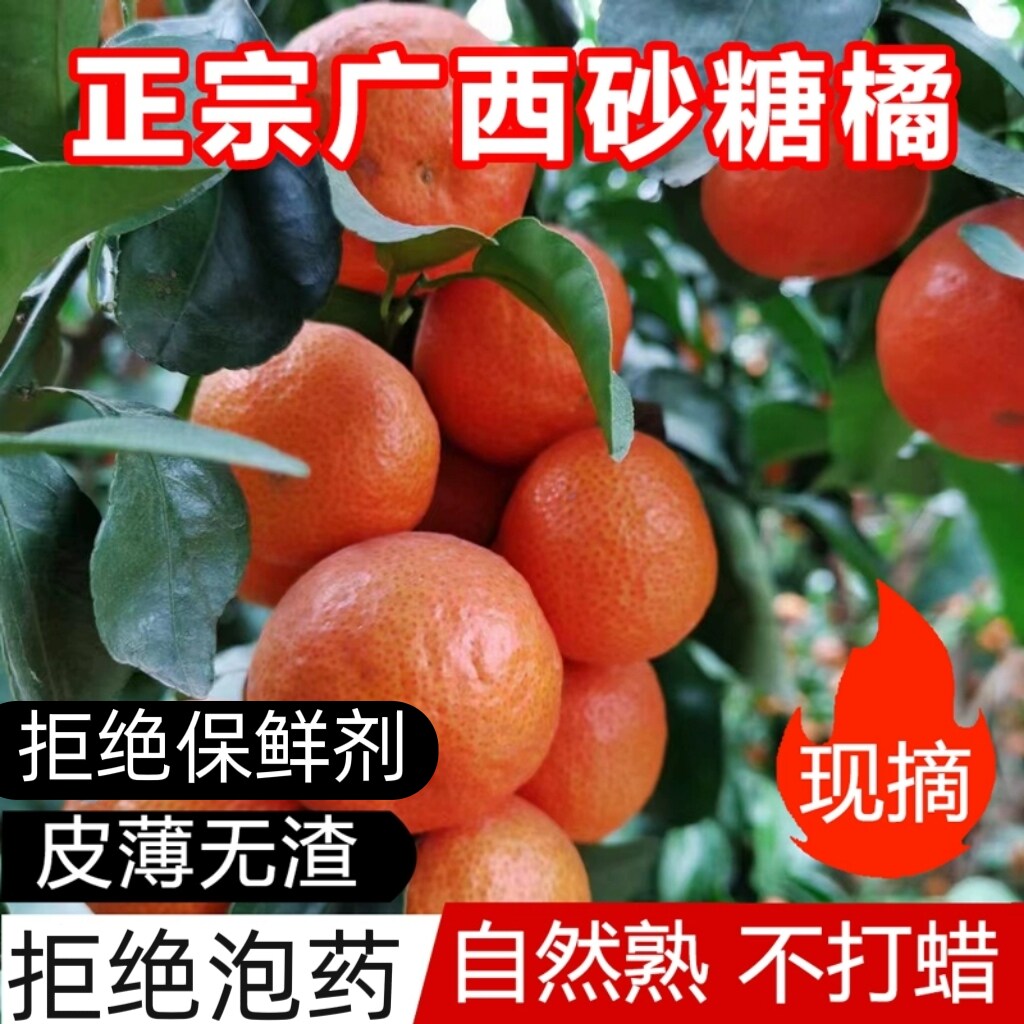 正宗广西砂糖橘多汁蜜橘沙糖桔