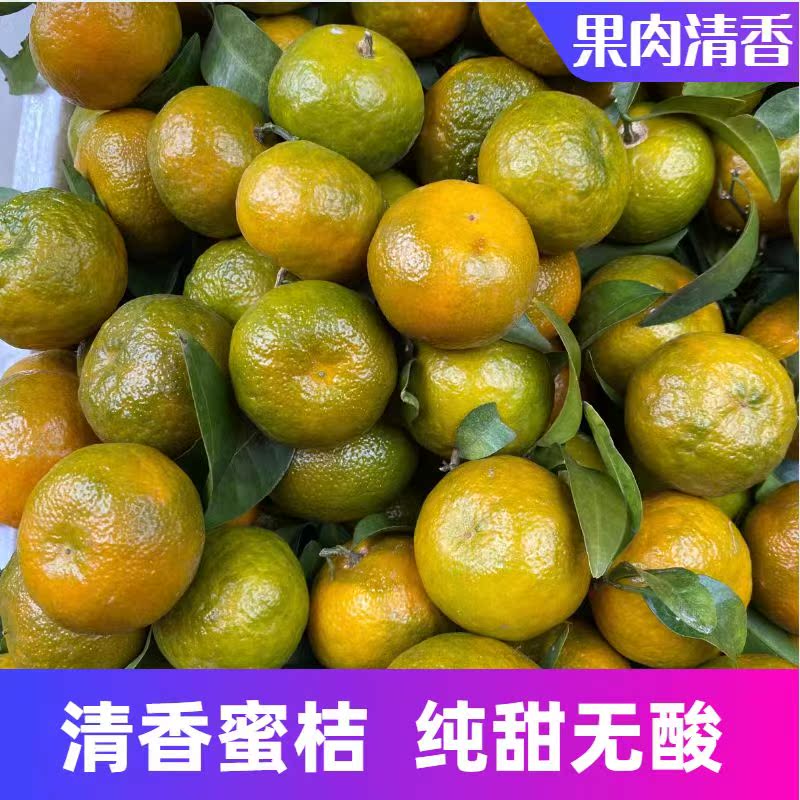 广西桂林清香蜜橘纯甜无酸