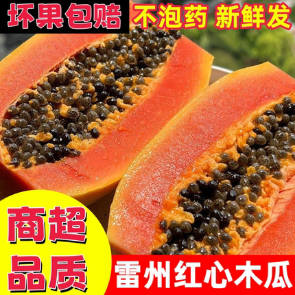 【冰糖红心木瓜】雷州红心牛奶木瓜树上熟木瓜新鲜现摘下奶水果