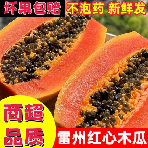 雷州冰糖红心木瓜现摘下奶水果