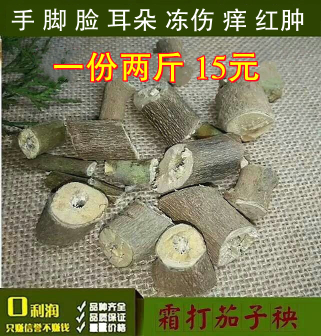 霜打茄子杆茄根茄子秧紫茄子梗 中药材泡手冻泡脚冻耳朵脸冻包邮