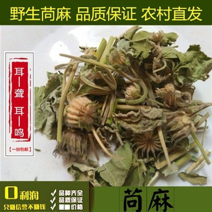 野生苘麻中药材 磨盘仔草 野青麻苘麻籽根 磨档草耳聋草500克包邮
