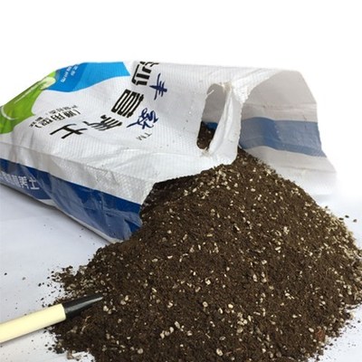 general plant nutrition soil succulent flowers grow vegeta