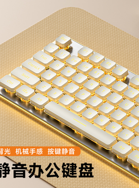 静音键盘机械手感有线台式电脑笔记本女生办公打字专用鼠标套装L1