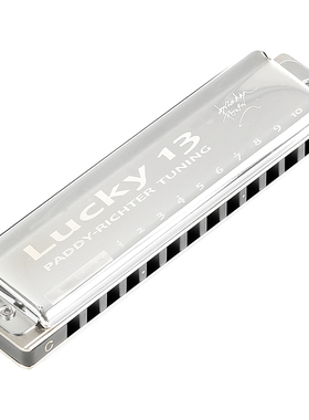EASTTOP东方鼎正品LUCKY 13孔十三孔蓝调布鲁斯口琴PADDY调音初学