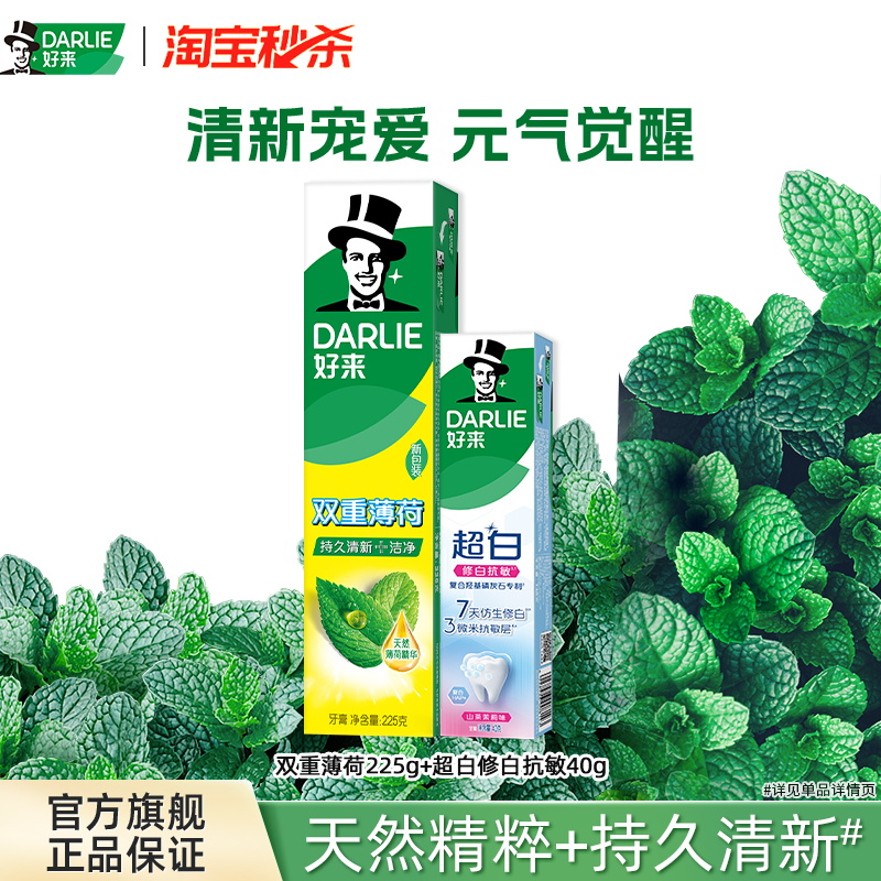 好来双重薄荷牙膏清新口气家庭装