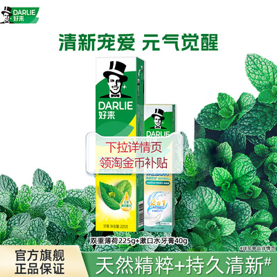 好来双重薄荷牙膏清新口气家庭装