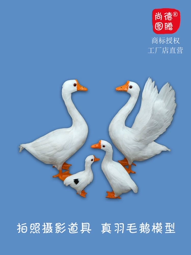 Моделирование модели гуся клетки Большой белый гус