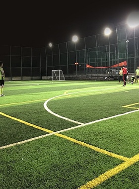 韦步K723足球场仿真地毯人造草坪运动场专用塑料假草皮30mm/50mm