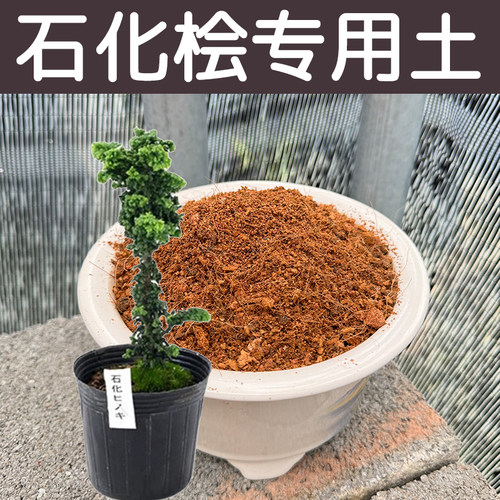 石化桧土配方营养土透气顺丰包邮