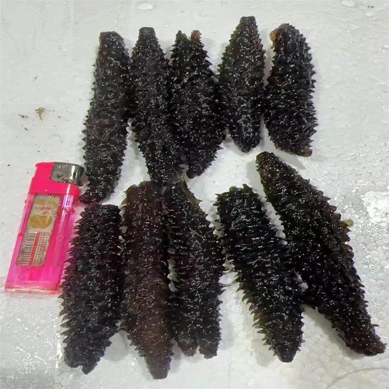 水发黑刺参深海网红印尼小黑参秃参正品海参非干货辽参餐饮冷冻参