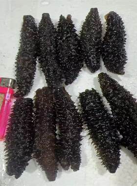 水发黑刺参深海网红印尼小黑参
