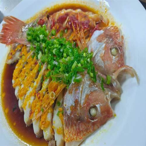 红星斑红鲷鱼红鱼冰冻彩虹鲷宴会开背三去半成品商用河鲜顺丰包邮