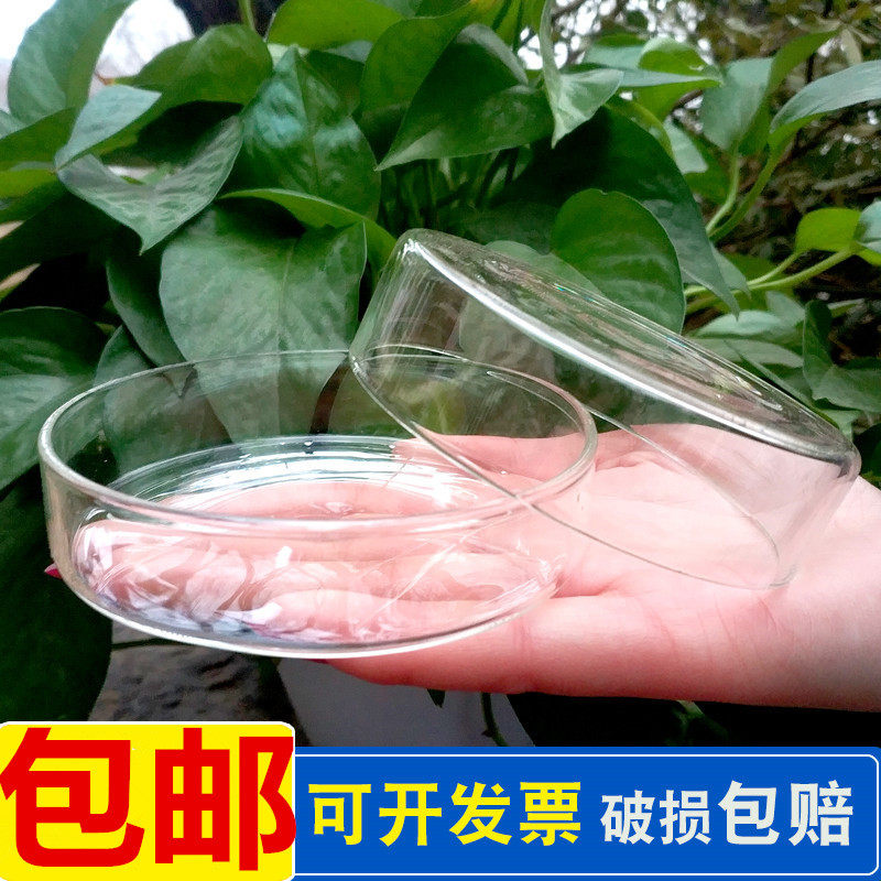 玻璃耐高温培养皿60 75 90 100 120 150 1套底和盖实包邮细胞细菌