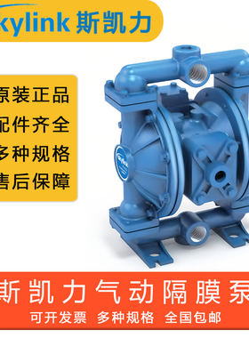 原装正品SKYLINK斯凯力气动隔膜泵配件全套LS25K,AA-AA-NE-PP-NE