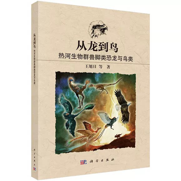 从龙到鸟 热河生物群兽脚类恐龙与鸟类 恐龙到鸟类的演化过程 鸟类的起源 王旭日 等 科学出版社书籍 9787030839251