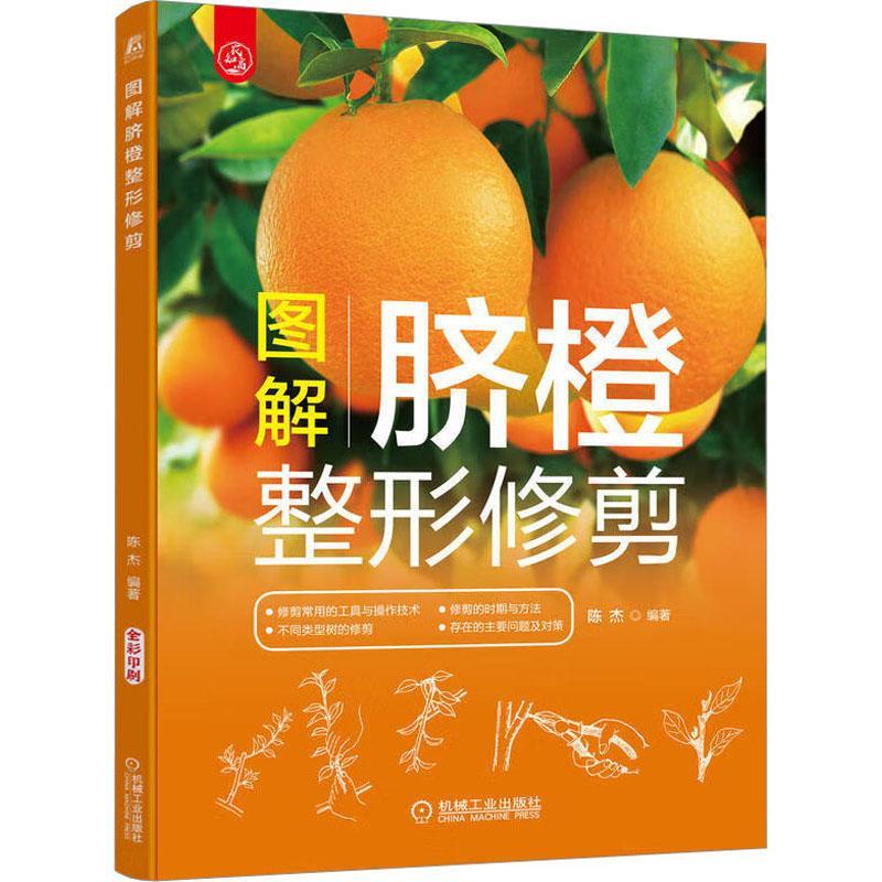 陈杰 复芽 顶芽 树体结构 结果母枝 叶龄 绿叶层 物候期 生物学年龄期