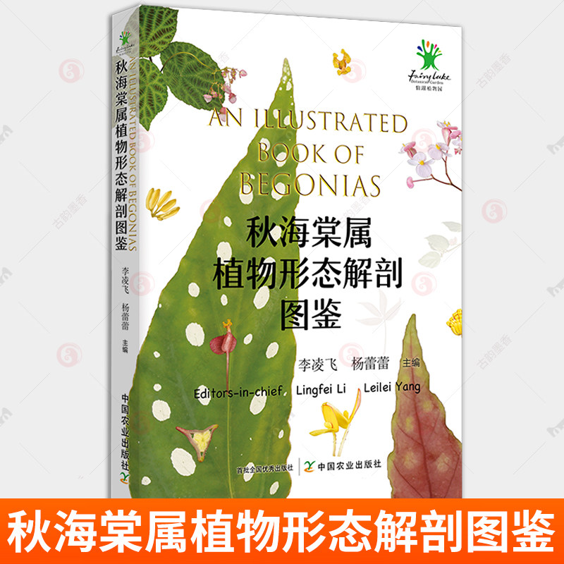 秋海棠属植物形态解剖图鉴 95种秋海棠属原生种类32个栽培品种 秋海棠属植物识别基本知识鉴赏保护栽培开发 植物学园艺学专业书籍