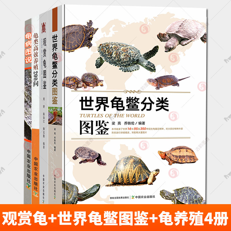 观赏龟图鉴+世界龟鳖分类图鉴+龟类高效养殖200问+龟病图说 4册龟科图集 龟病图说观赏龟产业现状和发展趋势观赏龟养殖技术书