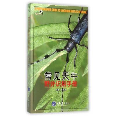 常见天牛野外识别手册林美英天牛科识别手册自然科学书籍