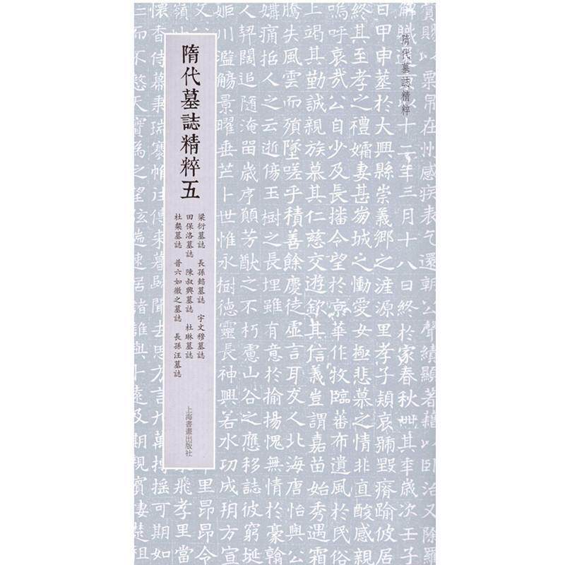 隋代墓志精粹五 梁衍墓志 长孙懿宇文穆田保洛陈叔兴杜琳杜粲普六如徽之长孙汪墓志 原件拓片碑帖字帖临摹毛笔书法成人练字帖书籍