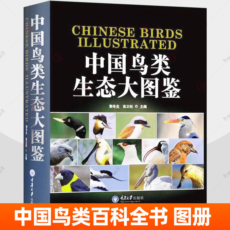 中国鸟类生态大图鉴 郭冬生 关于鸟的书中国鸟类分类地理分布名录生态习性资料 原色生态高清图欣赏 鸟类科普百科全书实用工具书籍