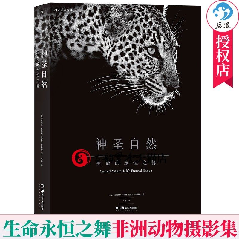 神圣自然 生命的永恒之舞 精装8开线装特种纸 100多幅塞伦盖蒂大草原生命之舞BBC纪录片大猫日记 非洲动物人像摄影集艺术图册书