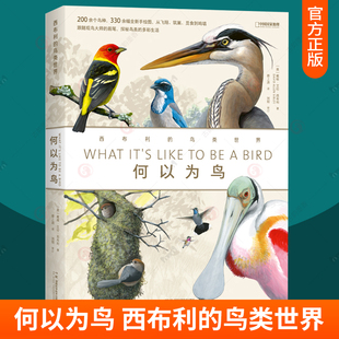 何以为鸟 西布利的鸟类世界 中国国家地理图书鸟类图鉴鸟类大全鸟类书籍大百科中国鸟类野外手册鸟类书籍 关于鸟类的书 自然科学