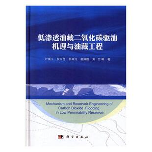 低渗透油藏二氧化碳驱油机理与油藏工程计秉玉等 自然科学书籍