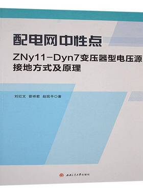 配电网中性点ZNy11-Dyn7变压器型电压源接地方式及原理刘 工业技术书籍