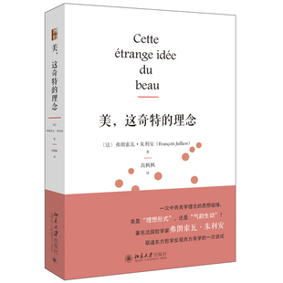 美这奇特的理念 弗朗索瓦 朱利安 美学理论研究 东方哲学西方美学 美学原理 美学理论研究 哲学美学 北京大学出版社