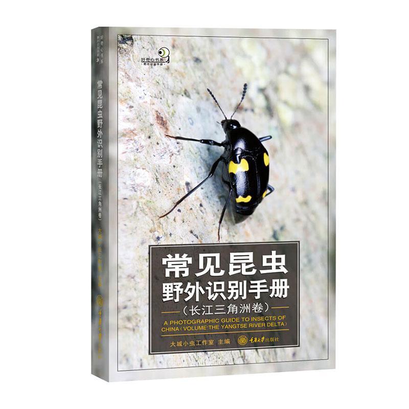 常见昆虫野外识别手册:长江三角洲卷 大城小虫工作室   自然科学书籍