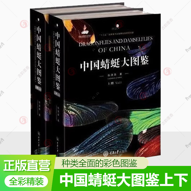 中国蜻蜓大图鉴上下册中国蜻蜓物种种类的彩色图鉴 蜻蜓知识档案书 介绍蜻蜓知识的大型图书科学探索蜻蜓鉴定识别图鉴