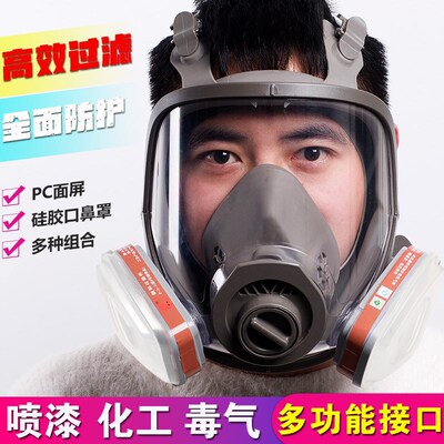 防毒面具全面罩喷漆化工毒气甲醛农药防腐防尘实验室硅胶