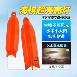 海祺新款超亮高灯浮漂海琪诱鱼浮漂2024可视看鱼清水浑水自动亮