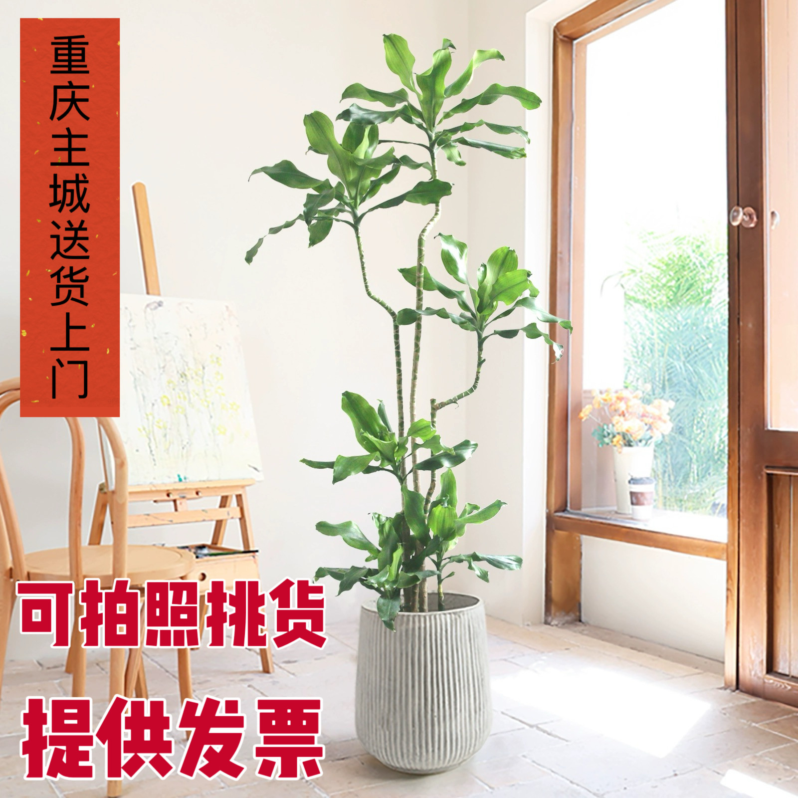 造型螺纹铁老造型螺纹铁老