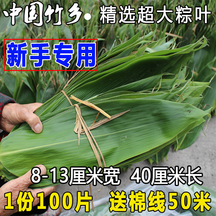 大号新鲜粽叶纯天然野生大粽叶批发非芦苇叶100片送棉线50米现摘