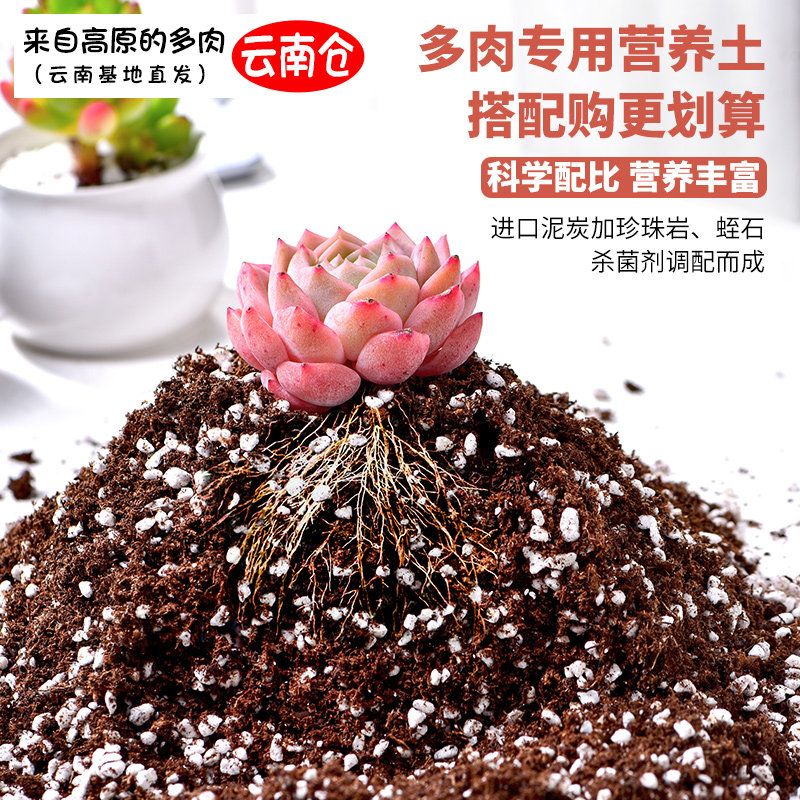 一叶花房多肉专用进口营养土
