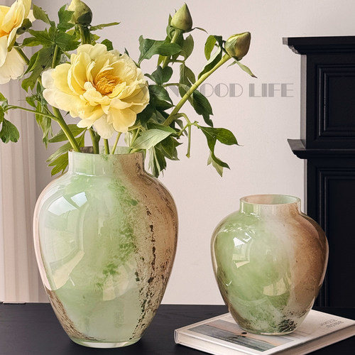 绿野仙踪加厚玻璃花瓶水养鲜花