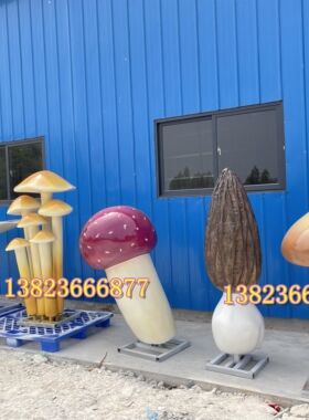 幼儿园景区点打卡装饰菌类教学模型玻璃钢羊肚菌蘑菇草菇香菇雕塑