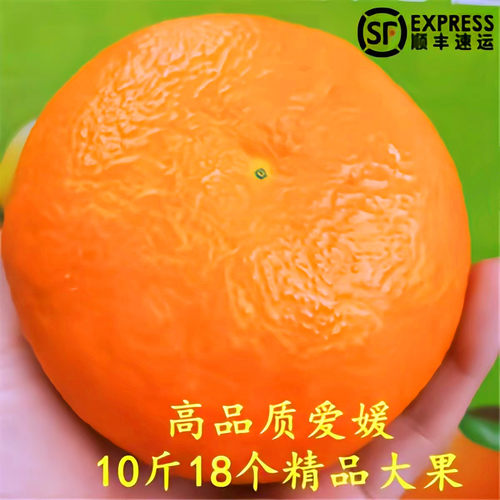 【高回购榜1】S级品质爱媛果冻橙