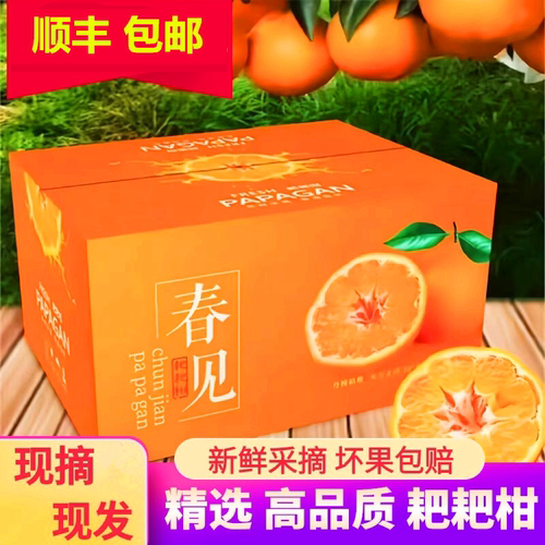 【高回购榜1】S级品质春见耙耙柑