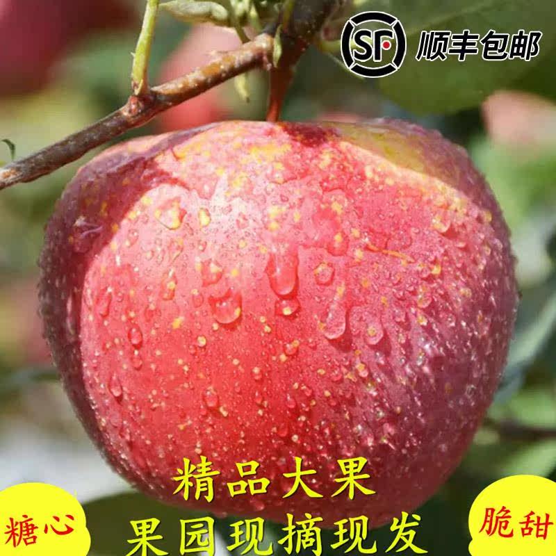 顺丰四川盐源丑苹果当季新鲜红富士孕妇水果现货凉山糖心脆甜大果,水产肉类/新鲜蔬果/熟食,苹果,淘宝优惠券,粉丝福利购,淘宝优惠卷