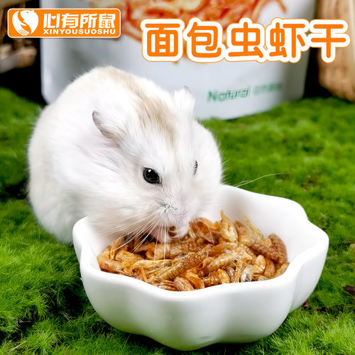 Jolly祖莉面包虫干小虾干高蛋白