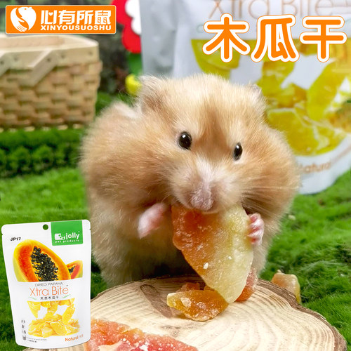 Jolly木瓜干兔子仓鼠龙猫零食