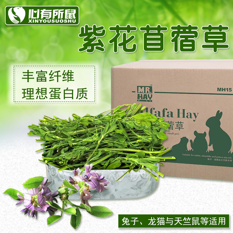 草先生苜蓿草兔粮饲料龙猫豚鼠