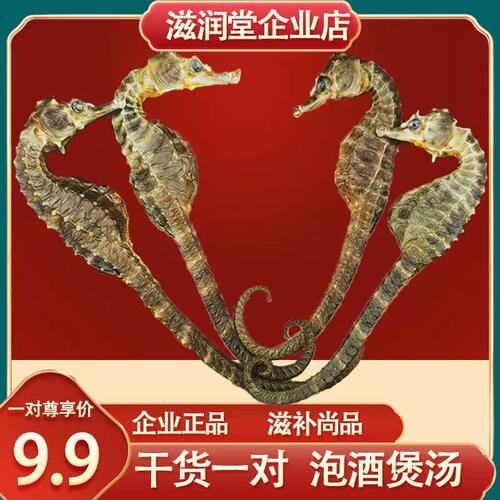 三斑海马公母配对泡酒煲汤滋补
