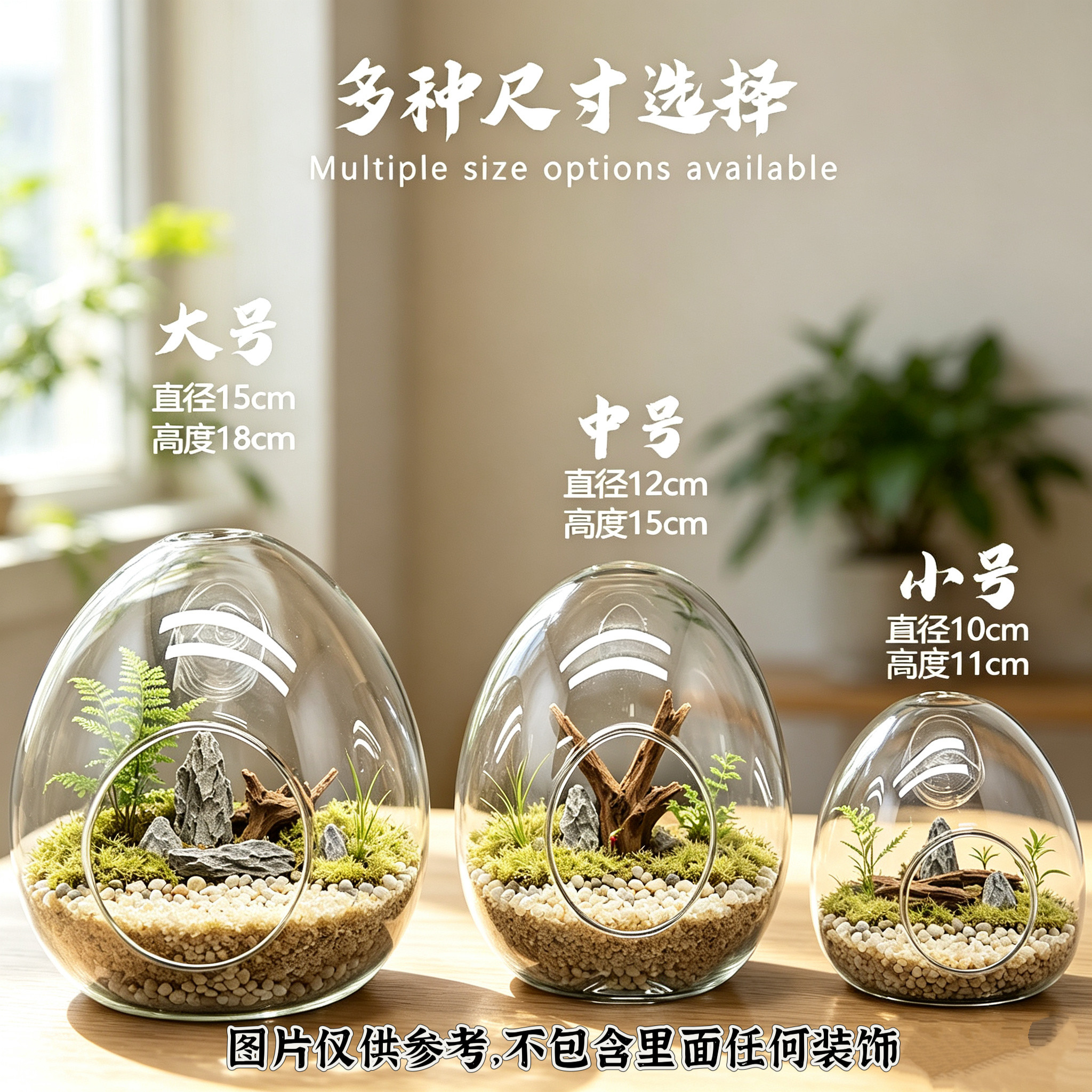 微景观生态瓶蛋形多肉植物花瓶苔藓造景瓶DIY创意摆件