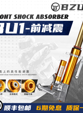 巴祖卡BU1前减震适用天鹰TX250 TX150 改装氮气瓶直上双阻尼避震