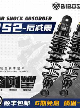 比博士RS2改装小牛NXT MQIL U2 U+后减震UQI MS 深远GT1 009避震